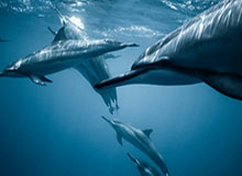 星空体育官网-江华瑶医药全程护航CMG群众足球邀请赛